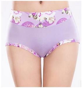 Image of Mid Waist Seamless Panties Hot