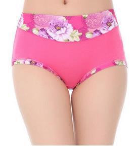 Image of Mid Waist Seamless Panties Hot