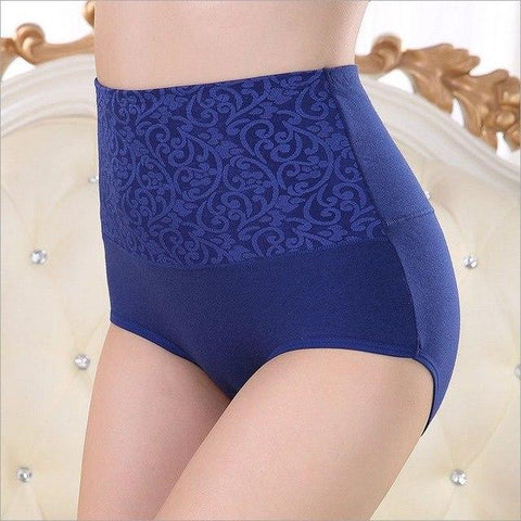 Image of Plus Size Intimates Female Cotton Jacquard Knickers High Waist Panties