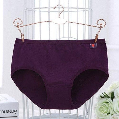 Image of Plus Size Thin Breifs Mid Waist Seamless Breathable Intimates Panties