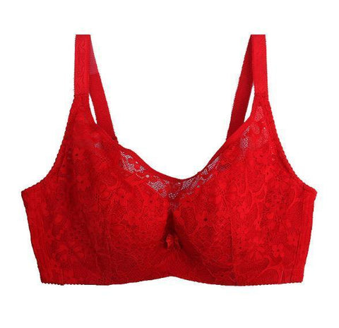 Image of Plus Size 3/4 Cup Push Up Mesh Transparent Lace Bra Sutia