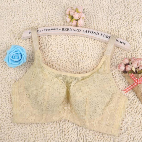 Image of Plus Size 3/4 Cup Push Up Mesh Transparent Lace Bra Sutia