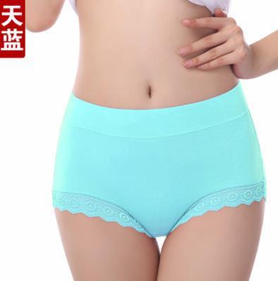 Image of Antibiotic Briefs Plus Size Seamless Shorts High Waist