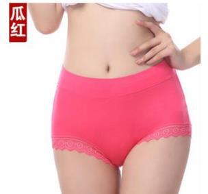 Image of Antibiotic Briefs Plus Size Seamless Shorts High Waist