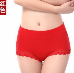 Image of Antibiotic Briefs Plus Size Seamless Shorts High Waist